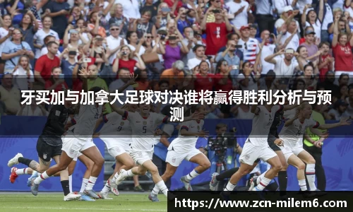 米乐体育官网