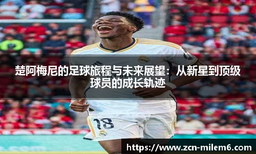 米乐体育官网